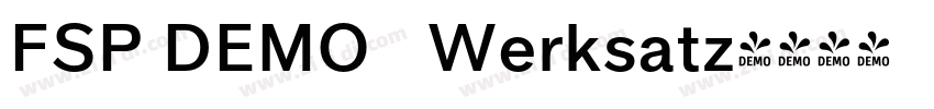 FSP DEMO   Werksatz字体转换